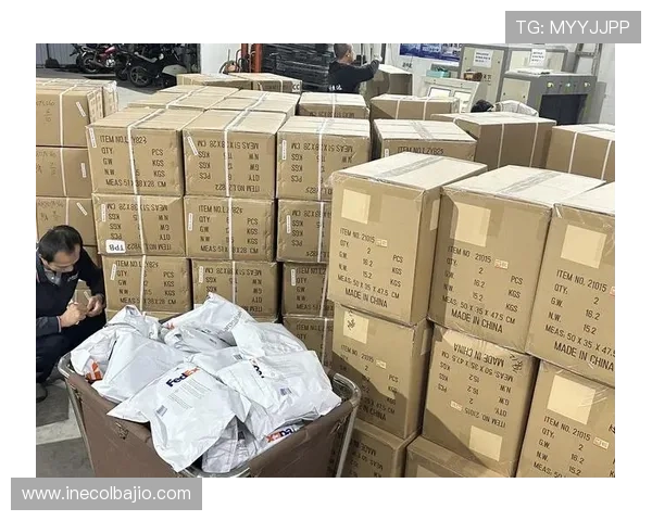 博百利官方网站全面升级，提供更优质的产品与服务满足用户多样化需求